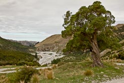 2011 New Zealand