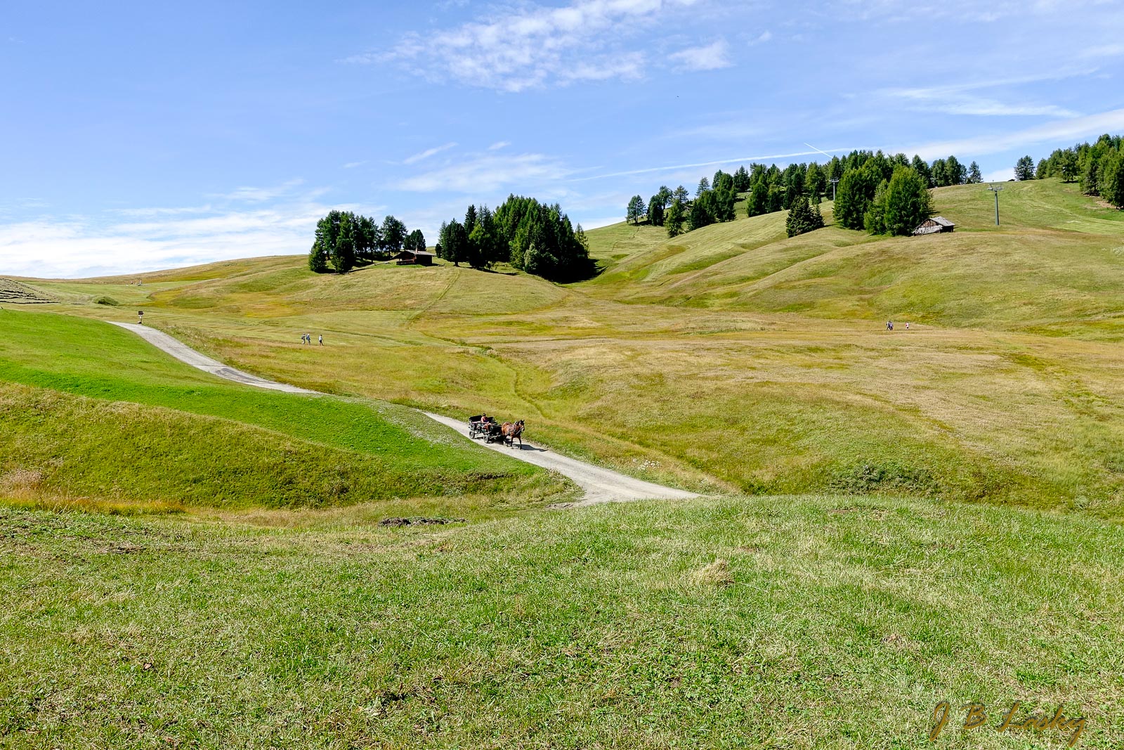 _DSC1055.jpg