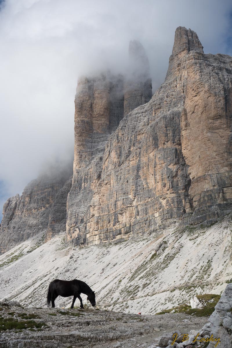 _DSC7898.jpg