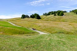_DSC1055.jpg