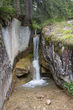 _DSC7325.jpg