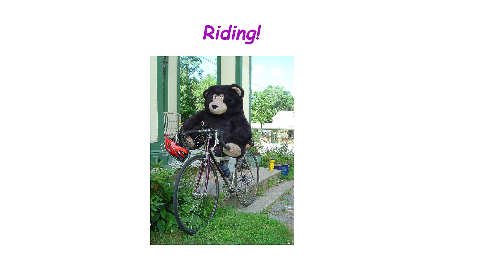 D_01_Ride_Riding.jpg