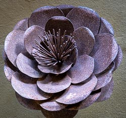 _SA14095.jpg