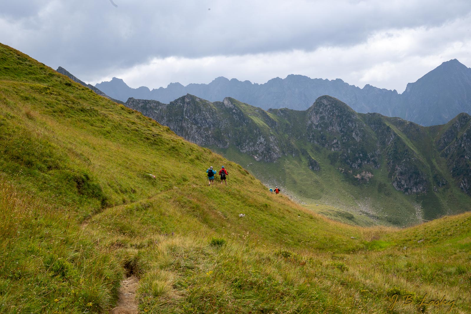 _SA15367.jpg