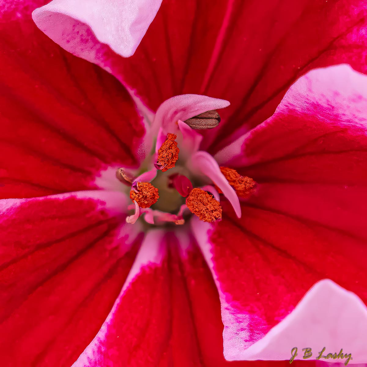 _SA15413-Enhanced-SR-Topaz.jpg