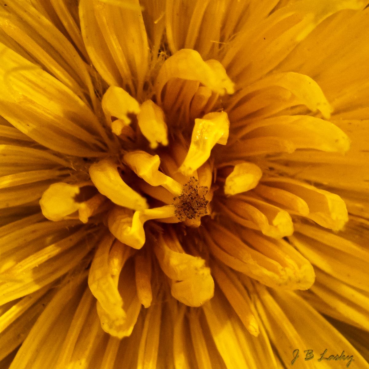_SA15598-Enhanced-SR.jpg
