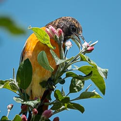 _DSC7764.jpg