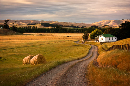NZ-Farm-Hastings-6572_.jpg